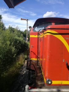 T 23